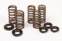 HOT CAMS VALVE SPRING KIT YAMAHA YZ 250F 01-14