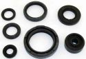 SCHREMS SIMMERRING-SATZ MOTOR KOMPLETT YAMAHA YZ 250 88-97