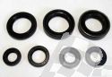 SCHREMS OIL SALS SET PREMIUM ENGINE COMPLET YAMAHA DT 175