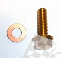 SCHREMS ŠROUB NA VMĚNU OLEJE ALU GOLD MAGNET M8X25-P1.25 HONDA CRF 250R 04-09 CRF 250X 05-