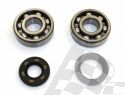 HOT RODS MAIN BEARING AND SEAL KIT YAMAHA YZ 125 01-04