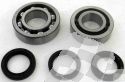 HOT RODS MAIN BEARING AND SEAL KIT HONDA TRX 450ER/R 04-05