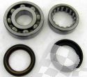 HOT RODS KURBELWELLEN-LAGER UND SIMMERRING KIT HONDA CRF 250R 06-/ CRF 250X 07-