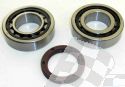 HOT RODS MAIN BEARING AND SEAL KIT HUSABERG FE 250 13; KTM SX-F 250 12/ XCF-W 13