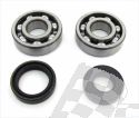 HOT RODS KURBELWELLEN-LAGER UND SIMMERRING KIT KAWASAKI KX 125 88-05