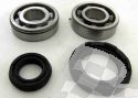 SCHREMS CRANKSHAFT BEARING AND SEAL KIT PREMIUM YAMAHA YFZ 350 BANSHEE 87-08