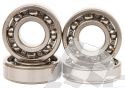 HOT RODS COUNTER BALANCER-BEARING KIT YAMAHA 700 RAPTOR