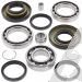 SCHREMS DIFFERENTIAL BEARING AND SEAL KIT REAR HONDA TRX 250 Recon 97-, TRX 250X / EX Sportrax 01-