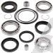 SCHREMS DIFFERENTIAL BEARING AND SEAL KIT REAR HONDA TRX 300 Fourtrax 300 88-00, TRX 300FW Fourtrax 4x4 88-00