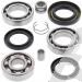 SCHREMS DIFFERENTIAL BEARING AND SEAL KIT REAR HONDA TRX 350 86-87, TRX 350D 87-89