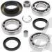 SCHREMS DIFFERENTIAL BEARING AND SEAL KIT REAR HONDA TRX 400FW Fourtrax Foreman 4X4 02-03, TRX 450FE/FM 02-04, TRX 500FA 01-04, TRX 500FGA 04