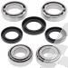 SCHREMS DIFFERENTIAL BEARING AND SEAL KIT FRONT KAWASAKI KLF 300C Bayou 4X4 89-05, KLF 400 Bayou 93-99