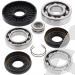 SCHREMS DIFFERENTIAL BEARING AND SEAL KIT FRONT KAWASAKI KVF