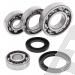 SCHREMS DIFFERENTIAL-LAGER UND SIMMERRING KIT REAR KAWASAKI KLF 185 Bayou 85-88, KLT 160 85, KLT 185 86-87