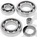 SCHREMS DIFFERENTIAL-LAGER UND SIMMERRING KIT REAR KAWASAKI KLF 220 Bayou 88-02, KLF 250 Bayou 03-11