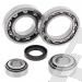 SCHREMS DIFFERENTIAL-LAGER UND SIMMERRING KIT REAR KAWASAKI KLF 300A Bayou 86-87