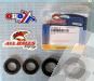 SCHREMS DIFFERENTIAL-LAGER UND SIMMERRING KIT REAR KAWASAKI KLF 300C Bayou 4X4 89-05, KLF 400 Bayou 93-99