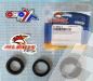 SCHREMS DIFFERENTIAL BEARING AND SEAL KIT REAR KAWASAKI KVF