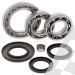 SCHREMS DIFFERENTIAL BEARING AND SEAL KIT REAR SUZUKI LT-F230 86-87