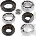 SCHREMS DIFFERENTIAL BEARING AND SEAL KIT FRONT YAMAHA YFM 350FX Wolverine 95-97