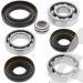 SCHREMS DIFFERENTIAL-LAGER UND SIMMERRING KIT FRONT YAMAHA YFM 350FX Wolverine 95-97