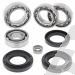 SCHREMS DIFFERENTIAL BEARING AND SEAL KIT FRONT YAMAHA YFM 600 Grizzly 98-01