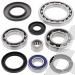 SCHREMS DIFFERENTIAL KIT (REPL 655.SC.2024) ZADNÍ ARTIC CAT/ SUZUKI