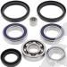 SCHREMS DIFFERENTIAL-LAGER UND SIMMERRING KIT FRONT, REAR ARTIC CAT