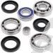 SCHREMS DIFFERENTIAL BEARING AND SEAL KIT REAR ARTIC CAT