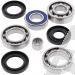 SCHREMS DIFFERENTIAL-LAGER UND SIMMERRING KIT REAR ARTIC CAT