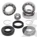 SCHREMS DIFFERENTIAL BEARING AND SEAL KIT FRONT HONDA TRX 400FA 04-07, TRX 400FGA Fourtrax Rancher 4X4 04-07