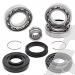 SCHREMS DIFFERENTIAL-LAGER UND SIMMERRING KIT FRONT HONDA TRX 400FA 04-07, TRX 400FGA Fourtrax Rancher 4X4 04-07