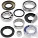 SCHREMS DIFFERENTIAL BEARING AND SEAL KIT REAR SUZUKI LT-F 250 Ozark 02-, LT-Z 250 04-09