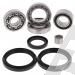 SCHREMS DIFFERENTIAL-LAGER UND SIMMERRING KIT FRONT ARTIC CAT