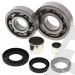 SCHREMS DIFFERENTIAL-LAGER UND SIMMERRING KIT FRONT POLARIS Magnum 325 4x4 00-02, Magnum 500 4x4 99-01, Xpedition 325 00-02, Xpedition 425 00-02