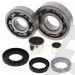 SCHREMS DIFFERENTIAL BEARING AND SEAL KIT FRONT POLARIS Magnum 325 4x4 00-02, Magnum 500 4x4 99-01, Xpedition 325 00-02, Xpedition 425 00-02