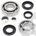 SCHREMS DIFFERENTIAL-LAGER UND SIMMERRING KIT FRONT POLARIS