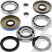 SCHREMS DIFFERENTIAL BEARING AND SEAL KIT REAR POLARIS