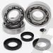 SCHREMS DIFFERENTIAL BEARING AND SEAL KIT FRONT POLARIS ATV 500 Pro 02, Magnum 325 4x4 HDS 01-02, Magnum 500 4x4 HDS 01-03, PTV Series 10 4x4 03