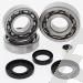 SCHREMS DIFFERENTIAL-LAGER UND SIMMERRING KIT FRONT POLARIS ATV 500 Pro 02, Magnum 325 4x4 HDS 01-02, Magnum 500 4x4 HDS 01-03, PTV Series 10 4x4 03