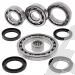 SCHREMS DIFFERENTIAL-LAGER UND SIMMERRING KIT REAR SUZUKI LT-A 500F Quad Master Auto 01, LT-F 500F 01-02