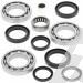 SCHREMS DIFFERENTIAL BEARING AND SEAL KIT FRONT POLARIS