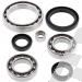 SCHREMS DIFFERENTIAL BEARING AND SEAL KIT FRONT YAMAHA