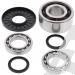 SCHREMS DIFFERENTIAL BEARING AND SEAL KIT FRONT POLARIS