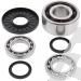 SCHREMS DIFFERENTIAL-LAGER UND SIMMERRING KIT FRONT POLARIS