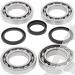 SCHREMS DIFFERENTIAL-LAGER UND SIMMERRING KIT FRONT POLARIS