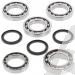 SCHREMS DIFFERENTIAL BEARING AND SEAL KIT FRONT POLARIS