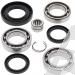 SCHREMS DIFFERENTIAL BEARING AND SEAL KIT REAR HONDA