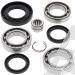 SCHREMS DIFFERENTIAL-LAGER UND SIMMERRING KIT REAR HONDA