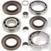 SCHREMS DIFFERENTIAL BEARING AND SEAL KIT REAR POLARIS